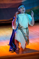 The Odyssey - Sharma 2015