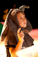 blue baby elephant 2012
